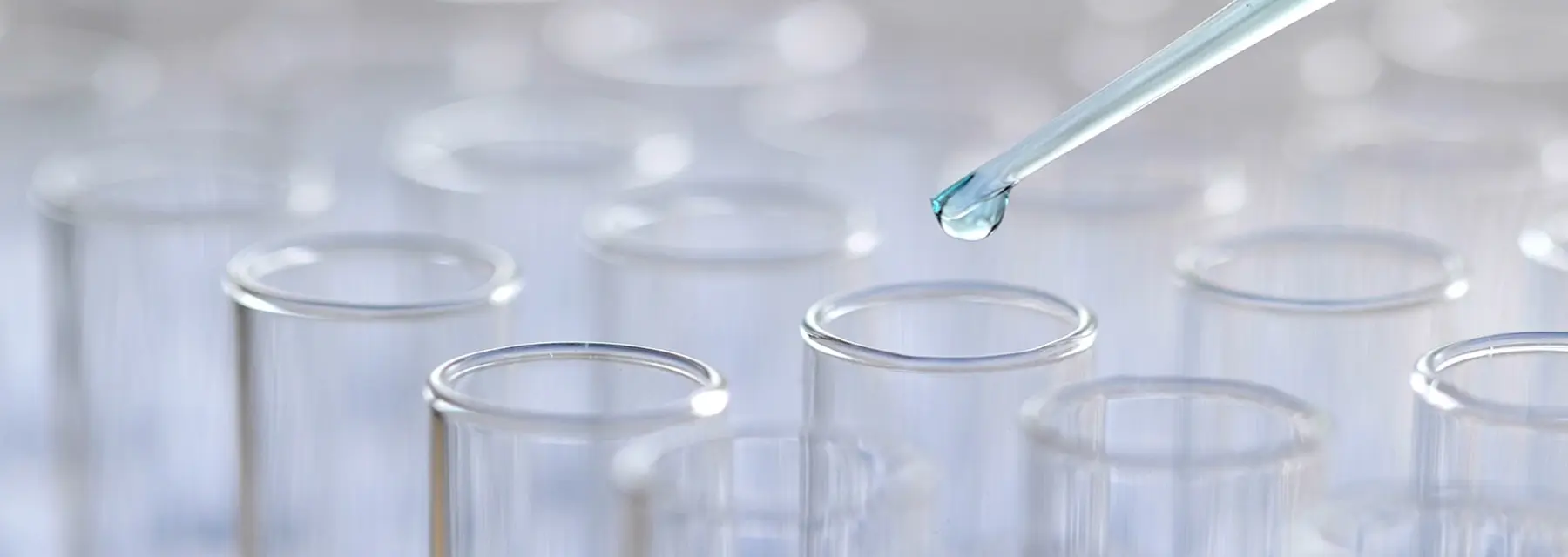¿Dónde trabaja un bioquímico?