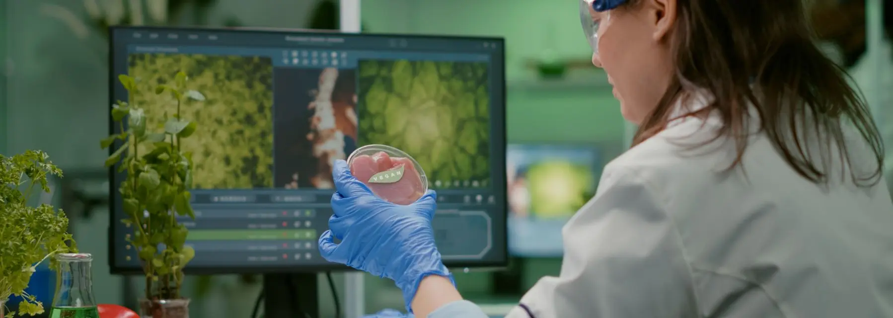 Bioinformática genómica, ¿qué es?