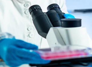 Biología Molecular: asignaturas