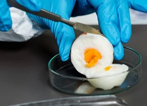 Historia de la seguridad alimentaria