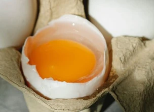 Seguridad alimentaria en los huevos procedentes de gallinas