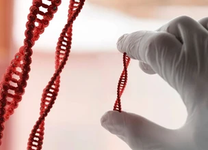 Quimerismo genético: ¿qué es?