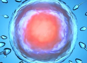 ¿Cómo saber si un óvulo está maduro?