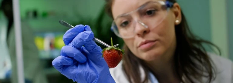 ¿Cuáles son las fuentes de contaminación de los alimentos?