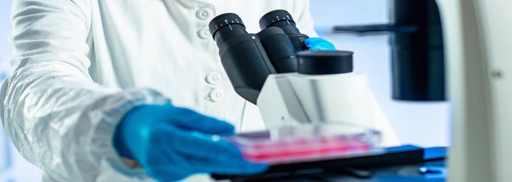 asignaturas de Biología Molecular