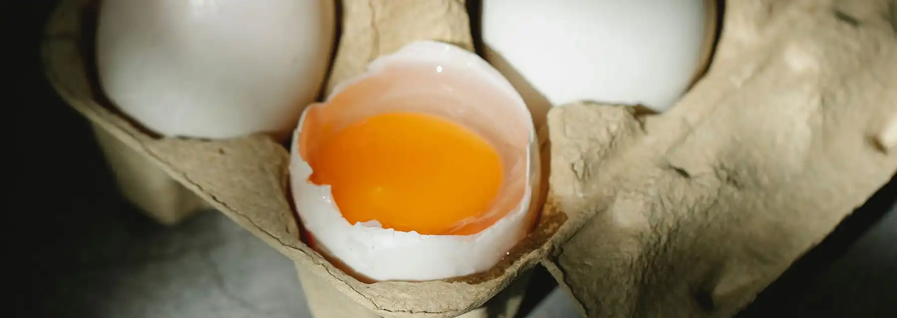 Seguridad alimentaria en los huevos procedentes de gallinas