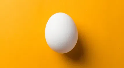 dieta-del-huevo