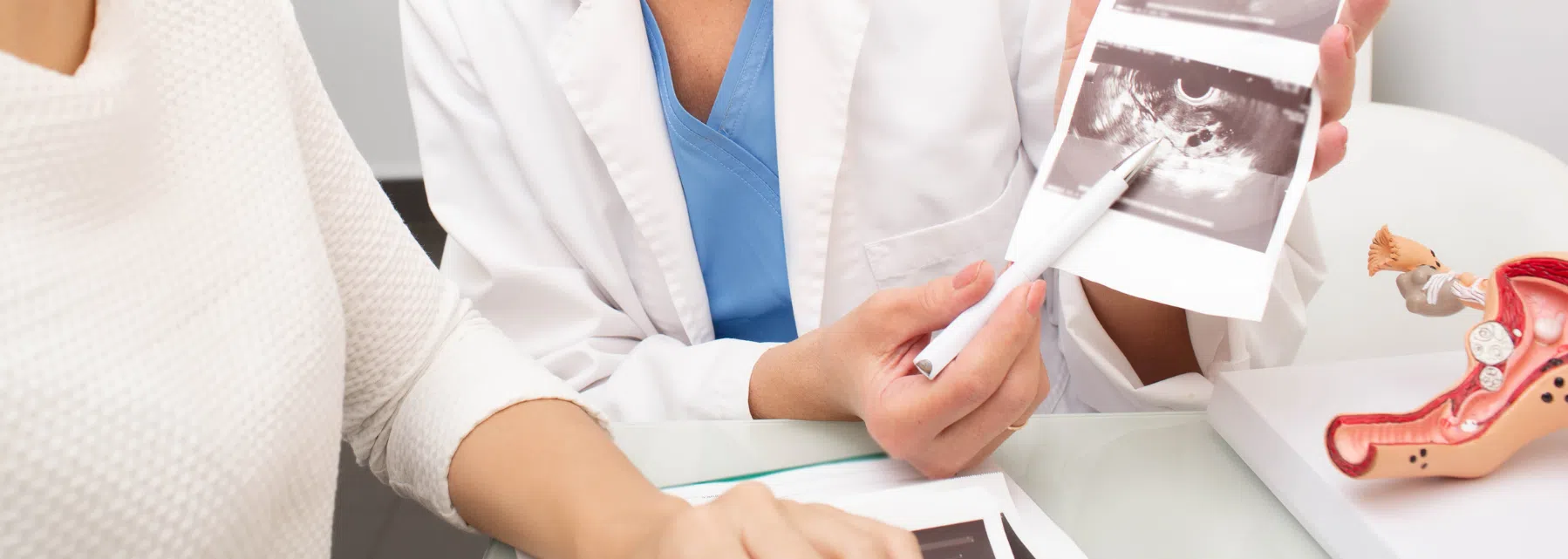 ¿Cómo trabajar en un laboratorio FIV?